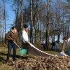 subotnik 23 of 61
